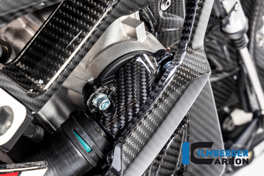 Wasserpumpendeckelabdeckung BMW S1000 RR ab Bj 2019 BMW M 1000 RR Racing (2021-2022)