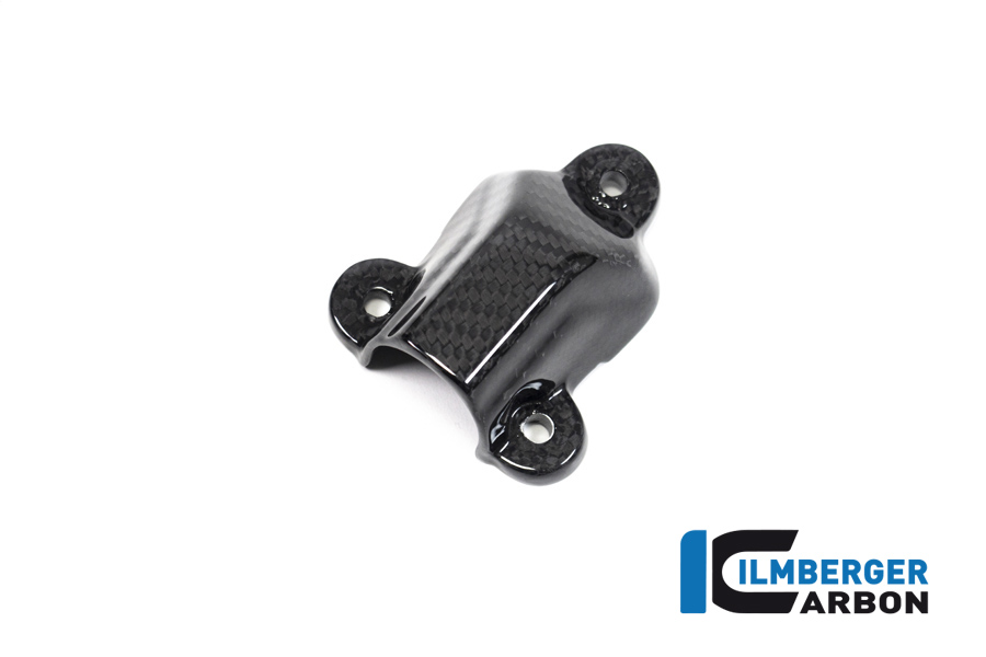 Wasserpumpendeckelabdeckung BMW S1000 RR ab Bj 2019 BMW M 1000 RR Racing (2021-2022) – Bild 2
