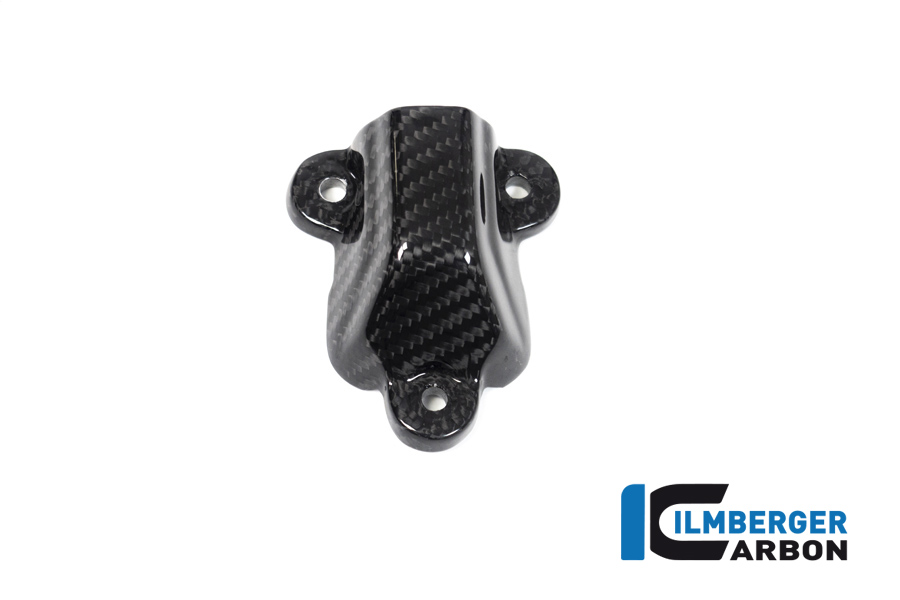 Wasserpumpendeckelabdeckung BMW S1000 RR ab Bj 2019 BMW M 1000 RR Racing (2021-2022) – Bild 4