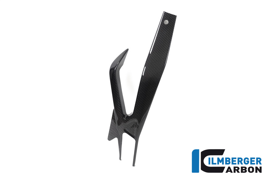 Schwingenabdeckung links BMW S 1000 RR ab Bj 2019 BMW M 1000 RR Racing (ab 2025) – Bild 5