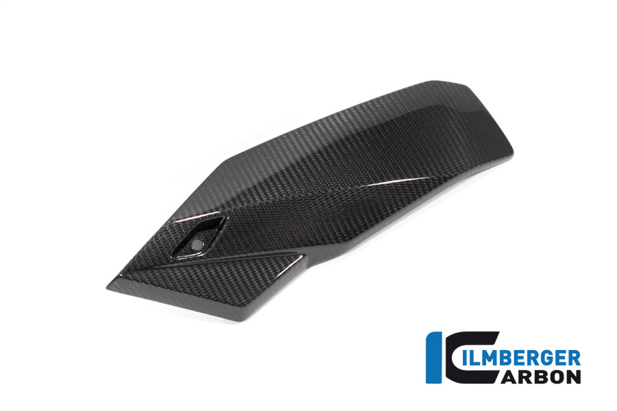 Motorspoiler links BMW S 1000 R ab 2021 / M 1000 R ab 2023 BMW M 1000 R (2023-2024)