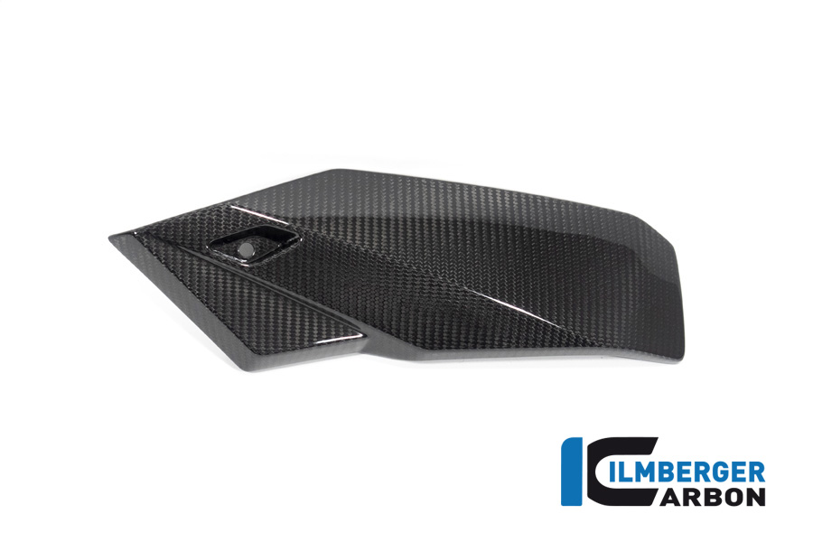 Motorspoiler links BMW S 1000 R ab 2021 / M 1000 R ab 2023 BMW M 1000 R (2023-2024) – Bild 4