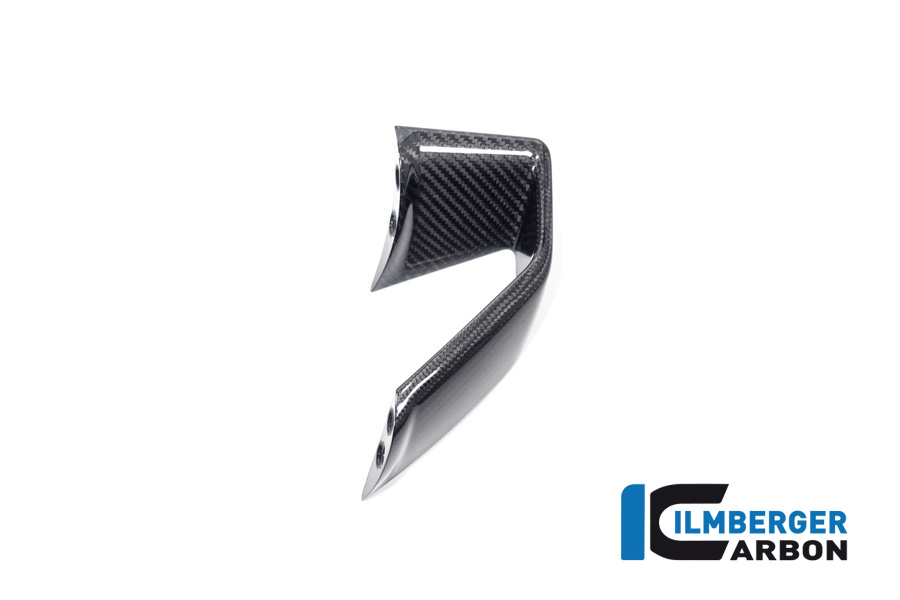 Verkleidungswinglet links BMW S 1000 R ab 2021 BMW S 1000 R 2021 - 2024 – Bild 5