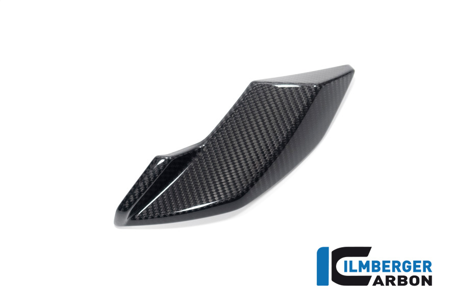 Seitliche Abdeckung am Scheinwerfer rechts BMW S 1000 R ab 2021 / M 1000 R ab 2023 BMW S 1000 R 2021 - 2024 – Bild 3