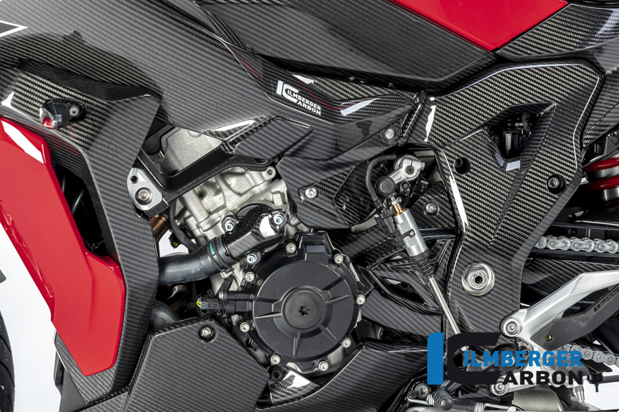 Rahmenabdeckung links S 1000 XR ab 2020 BMW M 1000 XR (ab 2024)