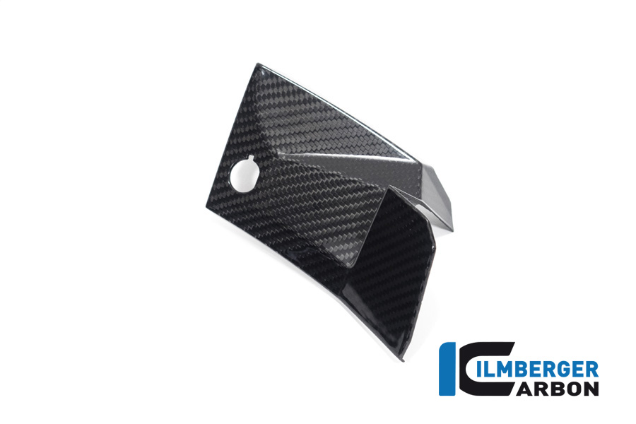 Abdeckung links neben dem Cockpit S 1000 XR ab 2020 BMW S 1000 XR (ab 2024) – Bild 4