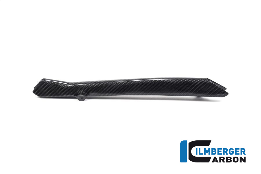Bremsleitungsabdeckung R1250GS/R1250R BMW R 1250 R LC 2019-2023 – Bild 4