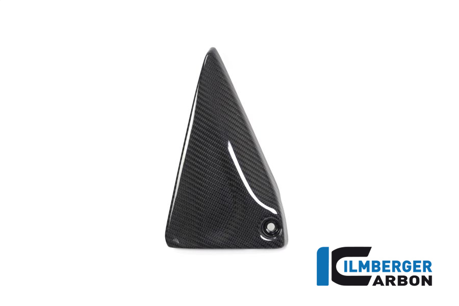 Rahmendreieckcover links BMW R 1250 GS / R 1250 R und RS BMW R 1250 GS Adventure 2019-2023 – Bild 3