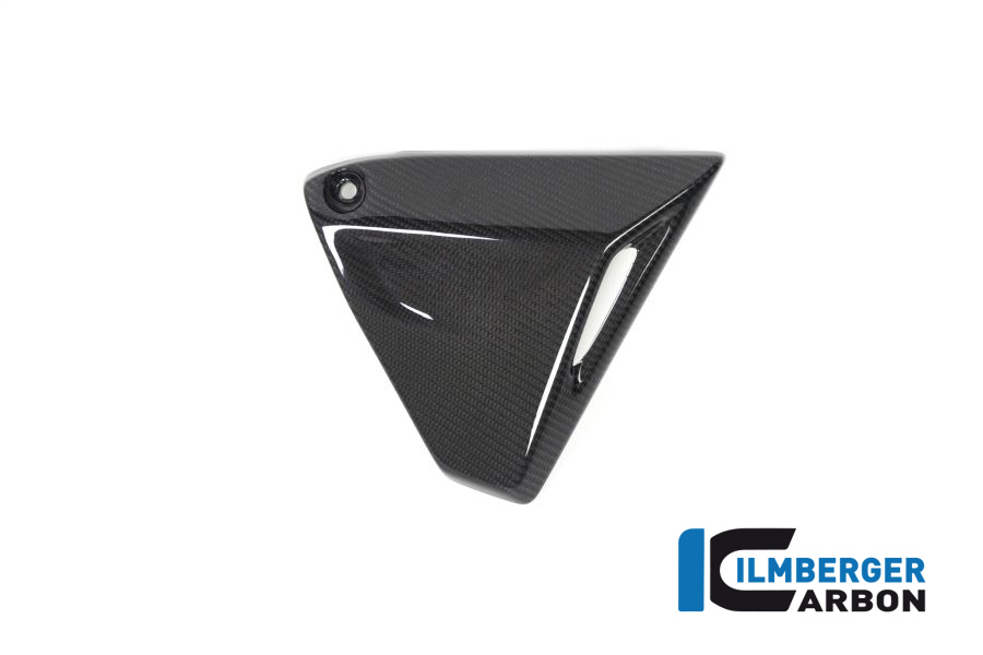 Rahmendreieckcover rechts BMW R 1250 GS / R 1250 R und RS BMW R 1250 RS (LC) 2019-2023 – Bild 3