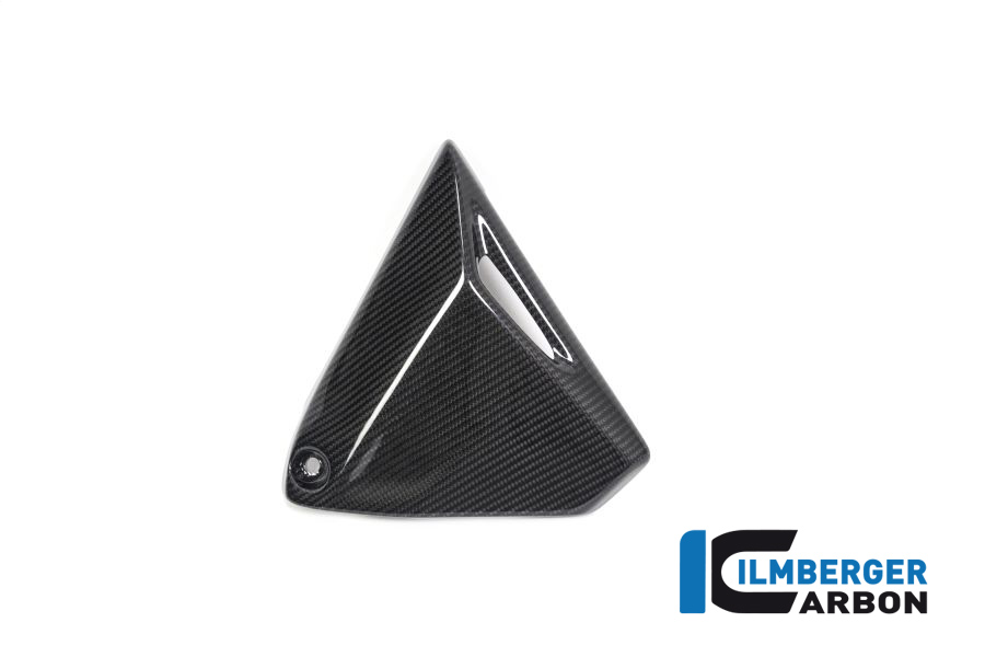 Rahmendreieckcover rechts BMW R 1250 GS / R 1250 R und RS BMW R 1250 RS (LC) 2019-2023 – Bild 5