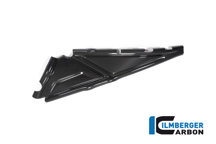 Rahmenheckcover links BMW R 1250 GS BMW R 1250 GS 2019-2023 – Bild 3