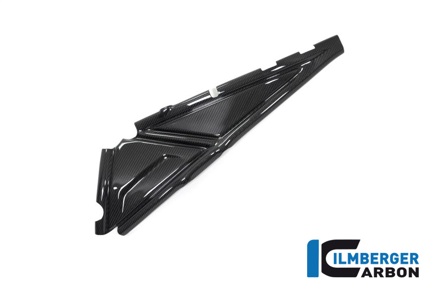 Rahmenheckcover links BMW R 1250 GS BMW R 1250 GS 2019-2023 – Bild 4