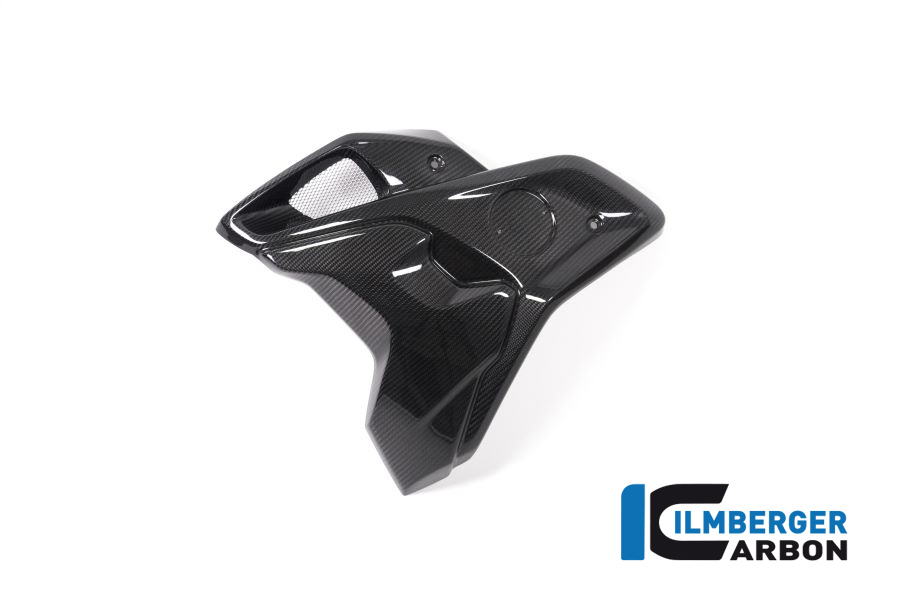 Windkanal links incl Flap (2tlg) BMW R 1250 GS BMW R 1250 GS 2019-2023 – Bild 2