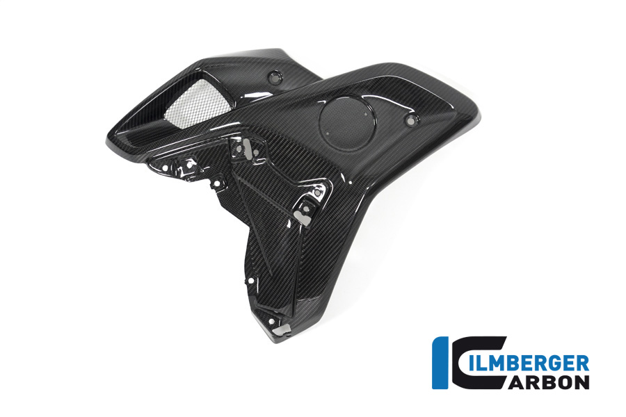 Windkanal links (für orig. Edelstahl Wasserkühlerabdeckung) BMW R 1250 GS BMW R 1250 GS 2019-2023