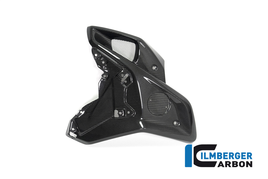 Windkanal links (für orig. Edelstahl Wasserkühlerabdeckung) BMW R 1250 GS BMW R 1250 GS 2019-2023 – Bild 3