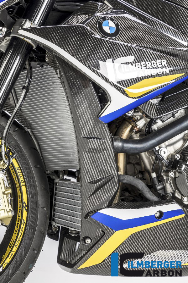Wasserkühlerverkleidung / Plakettenträger links BMW S1000R '17 BMW S 1000 R 2017-2020 – Bild 2