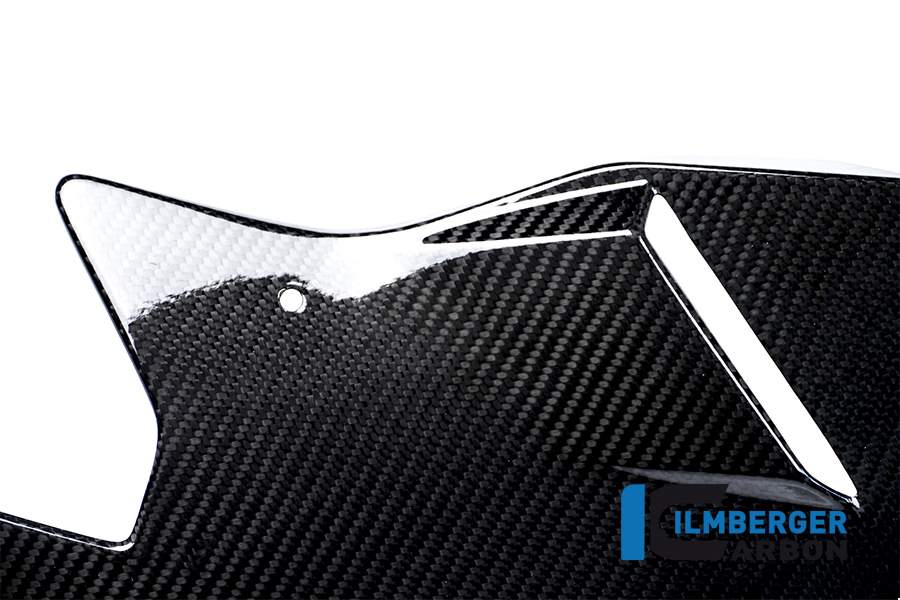 Motorspoiler Carbon BMW S 1000 R (2014-2016) – Bild 2