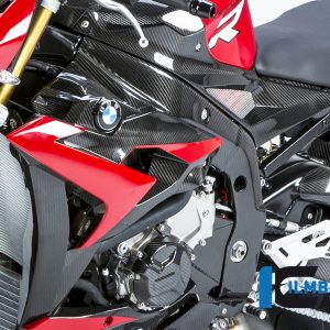Wasserkühlerabdeckung links Carbon BMW S 1000 R (2014-2016)