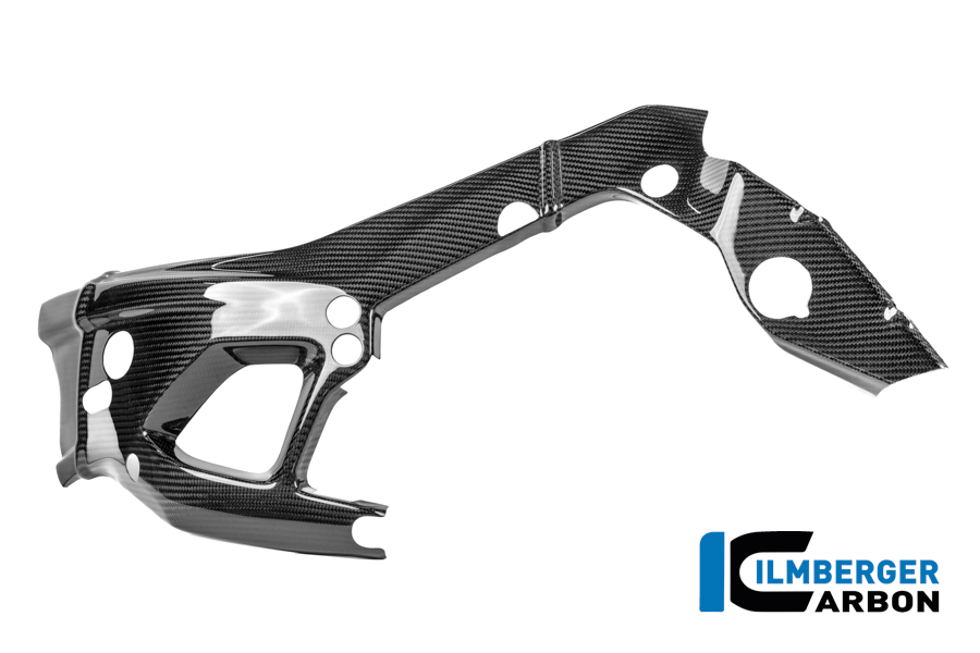 Rahmenschützer links Carbon glanz M 1000 RR Straße (ab 2025) BMW M 1000 RR Strasse ab 2025