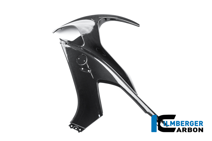 Seitenverkleidung links Carbon glanz M 1000 RR Straße (ab 2025) BMW M 1000 RR Strasse ab 2025