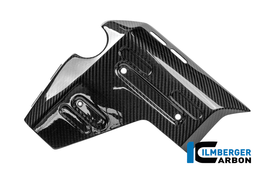 Wasserkühlerabdeckung links Carbon glänzend R 1300 GS Adventure BMW R 1300 GS Adventure (ab 2024) Carbon – Bild 2