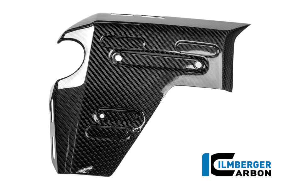 Wasserkühlerabdeckung links Carbon glänzend R 1300 GS Adventure BMW R 1300 GS Adventure (ab 2024) Carbon