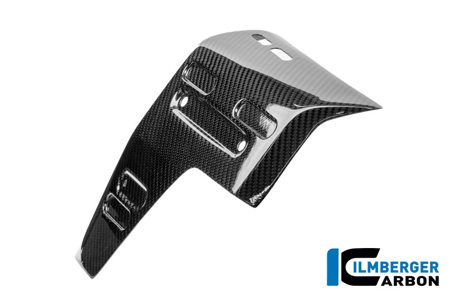 Wasserkühlerabdeckung links Carbon glänzend R 1300 GS Adventure BMW R 1300 GS Adventure (ab 2024) Carbon – Bild 3