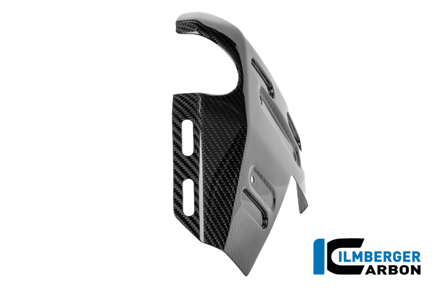 Wasserkühlerabdeckung links Carbon glänzend R 1300 GS Adventure BMW R 1300 GS Adventure (ab 2024) Carbon – Bild 4
