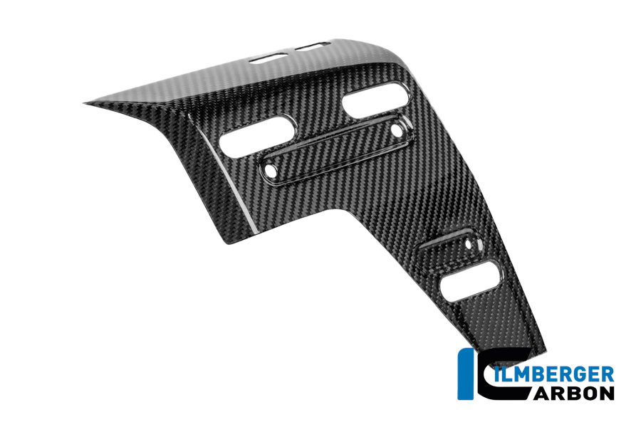 Wasserkühlerabdeckung rechts Carbon glänzend R 1300 GS Adventure BMW R 1300 GS Adventure (ab 2024) Carbon – Bild 3