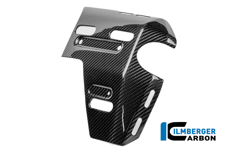 Wasserkühlerabdeckung rechts Carbon glänzend R 1300 GS Adventure BMW R 1300 GS Adventure (ab 2024) Carbon – Bild 4