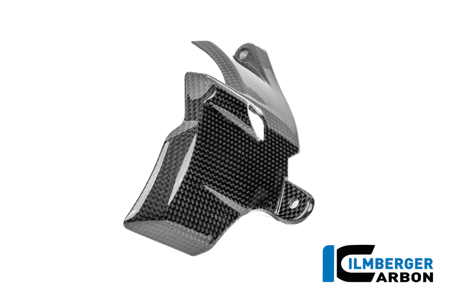 Motordeckel rechts Carbon glanz Panigale V4 2025 DUCATI Panigale V4 / V4 S (ab 2025) Carbon