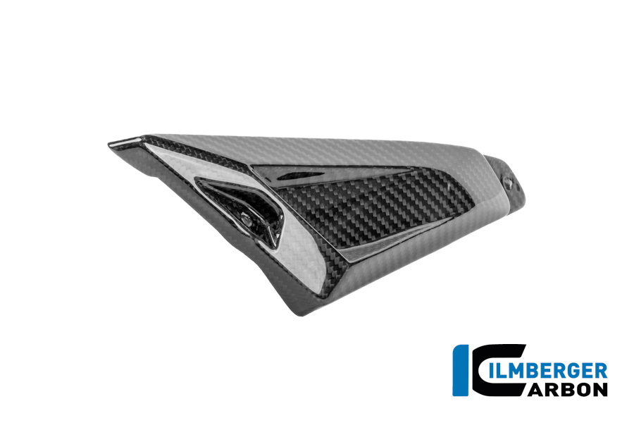 Hintere Dreiecksabdeckung für Rahmenheck links Carbon glänzend R 1300 GS Adventure BMW R 1300 GS Adventure (ab 2024) Carbon