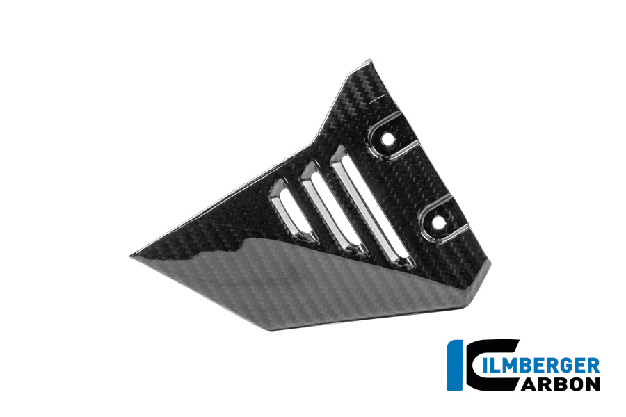 Vordere Dreiecksabdeckung für Rahmenheck links Carbon glänzend R 1300 GS Adventure BMW R 1300 GS Adventure (ab 2024) Carbon – Bild 2