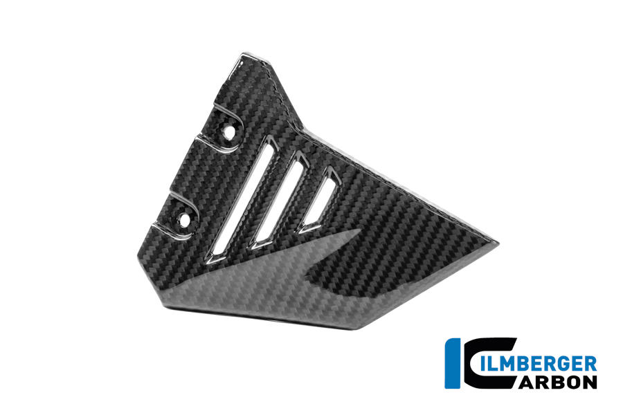 Vordere Dreiecksabdeckung für Rahmenheck rechts Carbon glänzend R 1300 GS Adventure BMW R 1300 GS Adventure (ab 2024) Carbon