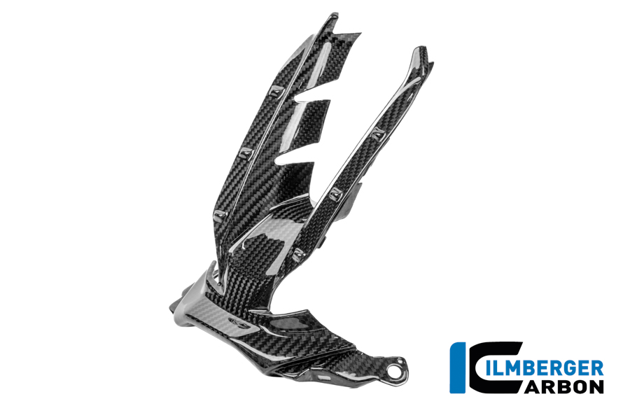 Lufteinlass Carbon glanz S 1000 RR Straße (ab 2025) BMW S 1000 RR Strasse (ab 2025)
