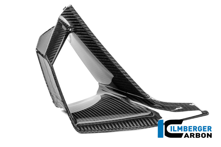 Innenflügel links Carbon glanz S 1000 RR Straße (ab 2025) BMW S 1000 RR Strasse (ab 2025) – Bild 2