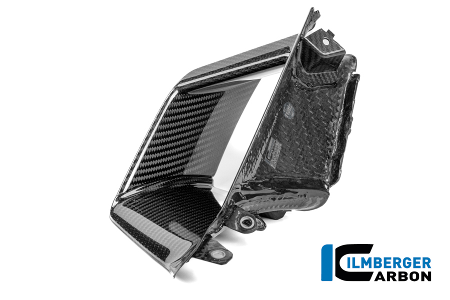 Innenflügel links Carbon glanz S 1000 RR Straße (ab 2025) BMW S 1000 RR Strasse (ab 2025)