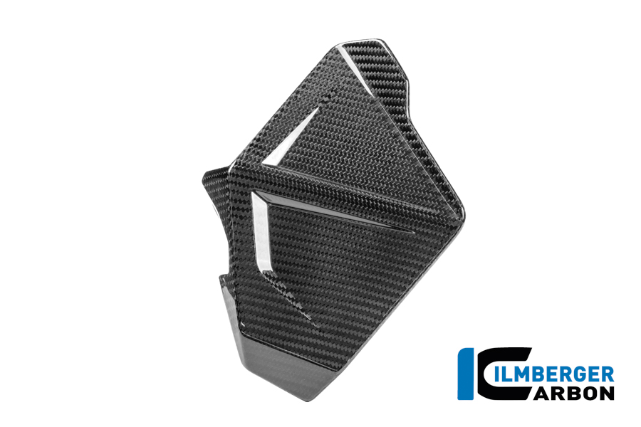 Windabweiser links Carbon glänzend R 1300 GS Adventure BMW R 1300 GS Adventure (ab 2024) Carbon