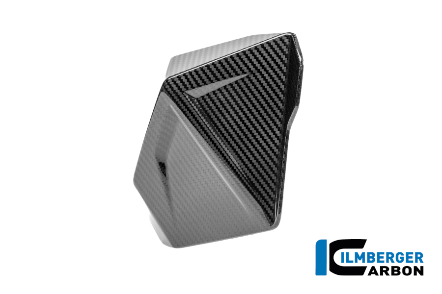 Windabweiser links Carbon glänzend R 1300 GS Adventure BMW R 1300 GS Adventure (ab 2024) Carbon – Bild 3
