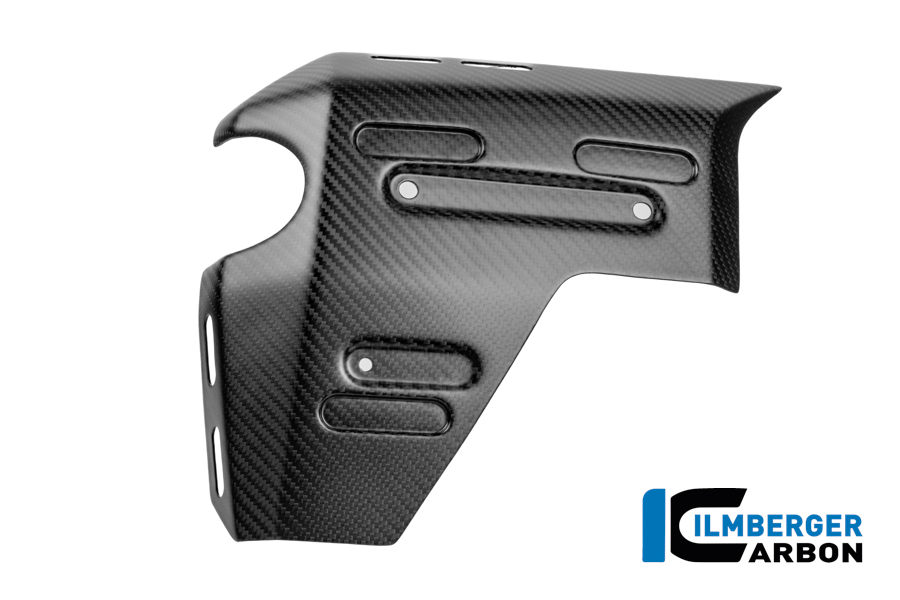 Wasserkühlerabdeckung links Carbon matt R 1300 GS Adventure BMW R 1300 GS Adventure (ab 2024) Carbon