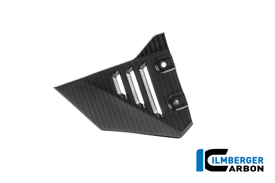 Vordere Dreiecksabdeckung für Rahmenheck links Carbon matt R 1300 GS Adventure BMW R 1300 GS Adventure (ab 2024) Carbon – Bild 2