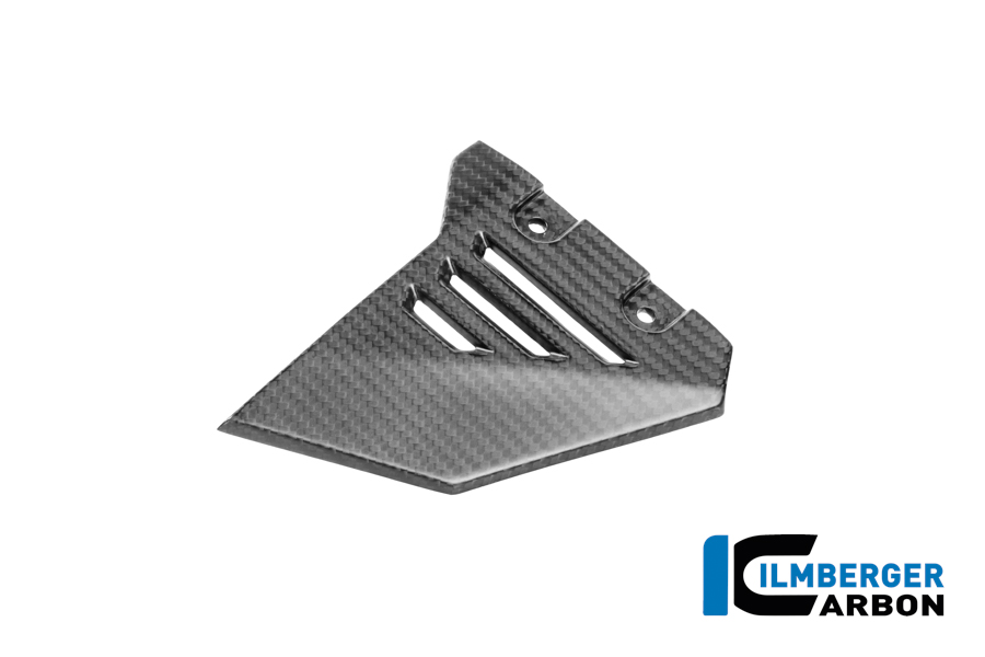 Vordere Dreiecksabdeckung für Rahmenheck links Carbon matt R 1300 GS Adventure BMW R 1300 GS Adventure (ab 2024) Carbon