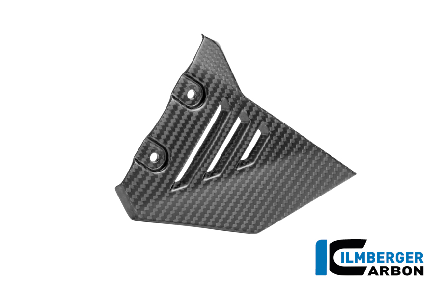 Vordere Dreiecksabdeckung für Rahmenheck rechts Carbon matt R 1300 GS Adventure BMW R 1300 GS Adventure (ab 2024) Carbon