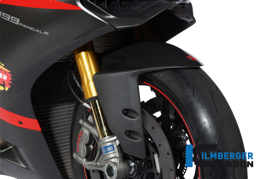 Kotflügel vorne Carbon DUCATI Panigale 1199 Racing