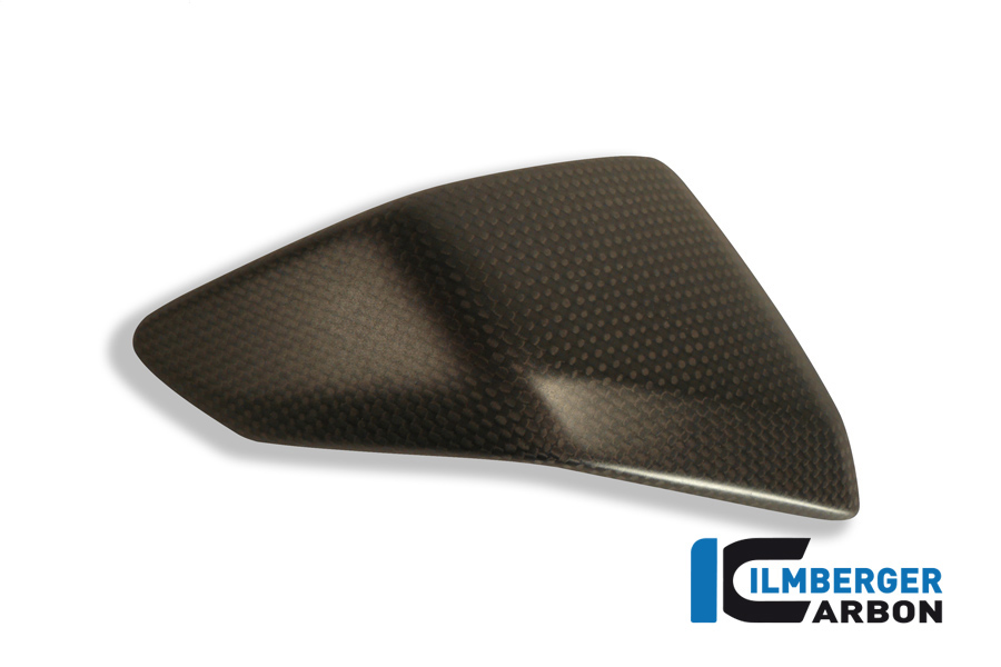 Seitenverkleidungseinsatz links Carbon DUCATI Panigale 1199