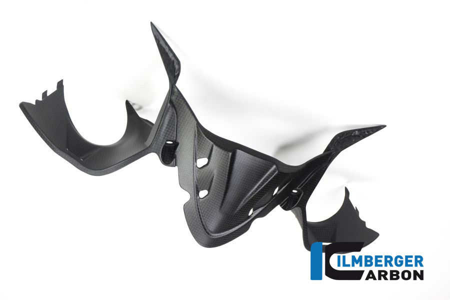 Instrumentenabdeckung matt Carbon Panigale 1299 (ab 2015) Einzelstücke Einzelstücke Ducati – Bild 2