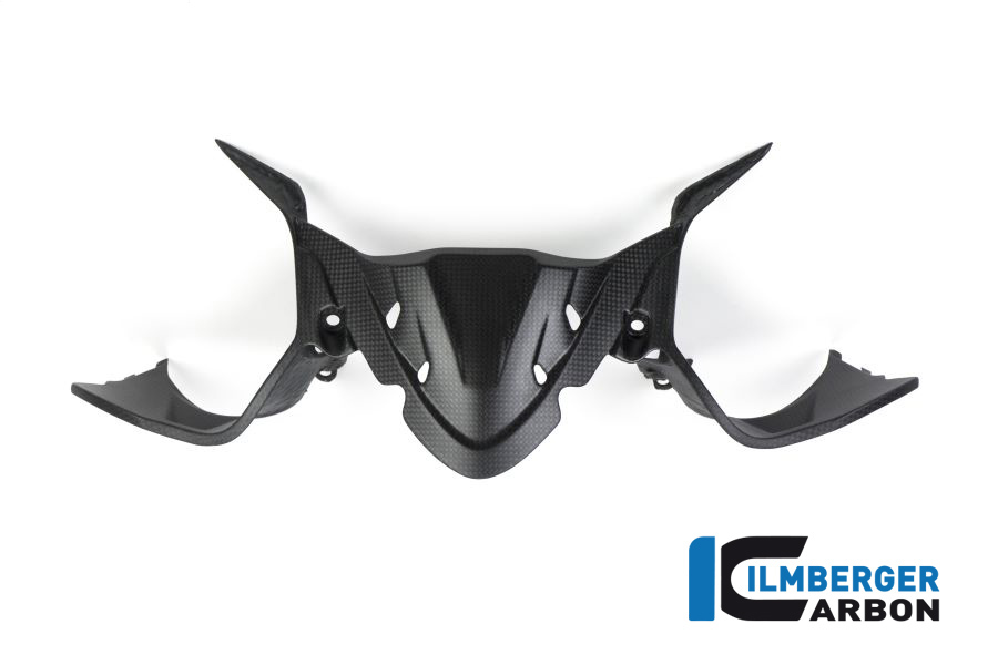 Instrumentenabdeckung matt Carbon Panigale 1299 (ab 2015) Einzelstücke Einzelstücke Ducati – Bild 3