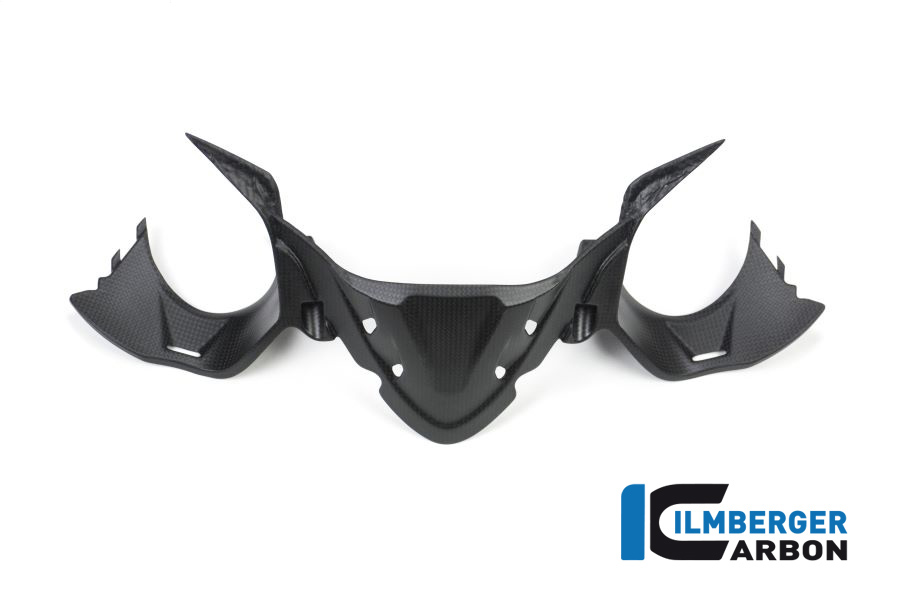 Instrumentenabdeckung matt Carbon Panigale 1299 (ab 2015) Einzelstücke Einzelstücke Ducati – Bild 4