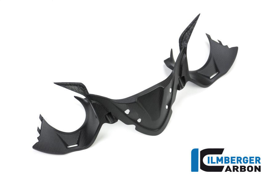 Instrumentenabdeckung matt Carbon Panigale 1299 (ab 2015) Einzelstücke Einzelstücke Ducati – Bild 5