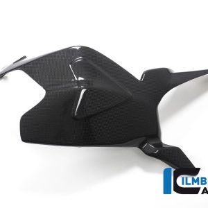 Schwingenabdeckung glanz Ducati Panigale 1299 (ab 2015) / V2 DUCATI Panigale 1299